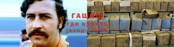 молекула духа Елабуга