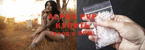 МДПВ Ельня