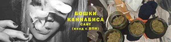 молекула духа Елабуга