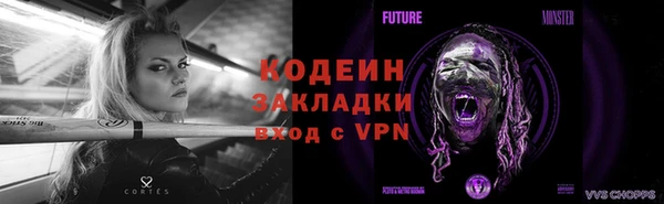 мдпв Елизово