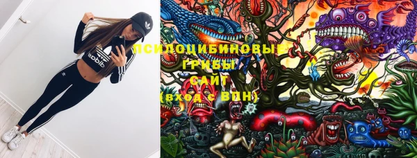 МДПВ Ельня