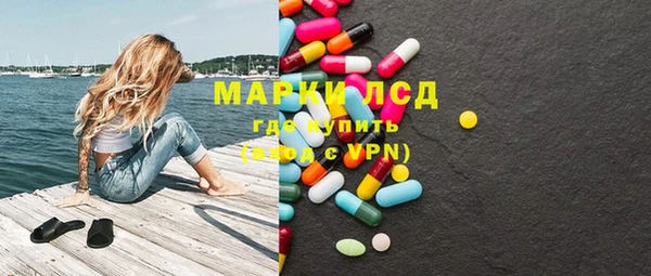 МДПВ Ельня