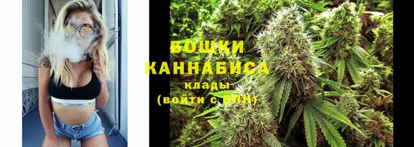 МДПВ Ельня