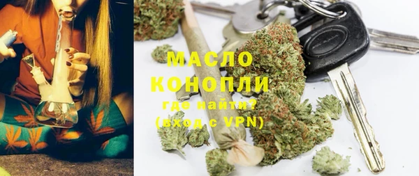 молекула духа Елабуга