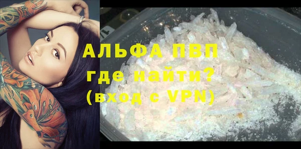 МДПВ Ельня