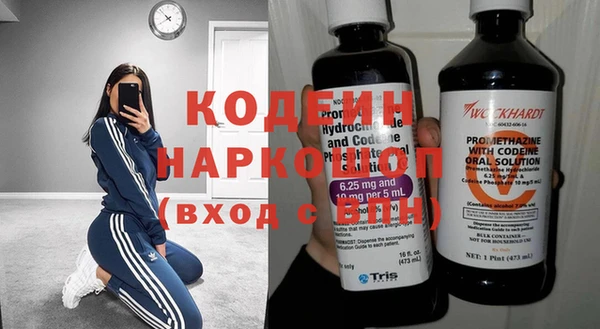 молекула духа Елабуга