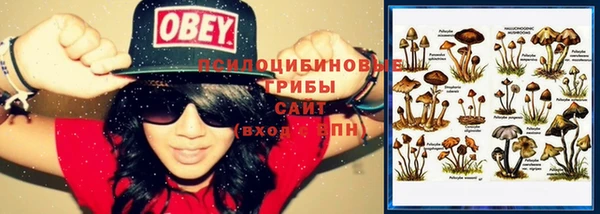 мдпв Елизово