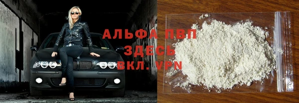 молекула духа Елабуга
