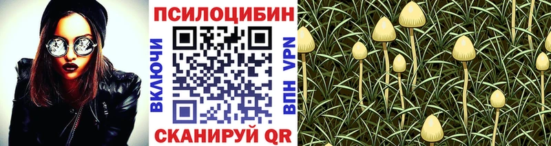 Псилоцибиновые грибы Magic Shrooms  Подольск 